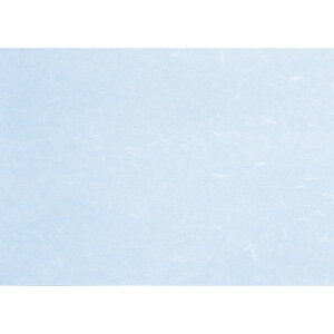  ~  Rs[paCT-02M u[ A4(}CN~V) 100 [ 210 x 297mm ] | `}bg ΃}bg   lC H Ɩp HX JtF    킢