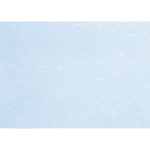  ~  Rs[paCT-14M u[ B4 (}CN~V) 100 [ 257 x 364mm ] | `}bg ΃}bg   lC H Ɩp HX JtF    킢