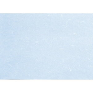  ~  Rs[paCT-14 u[ B4 (~Vږ) 100 [ 257 x 364mm ] | `}bg ΃}bg   lC H Ɩp HX JtF    킢 