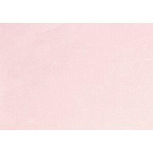  ~  Rs[paCT-16M sN B4 (}CN~V) 100 [ 257 x 364mm ] | `}bg ΃}bg   lC H Ɩp HX JtF    킢