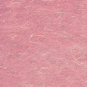  ~  ~_~ J[OP-C12 10cmp g~F 100 y HX H  aH Ɩp z