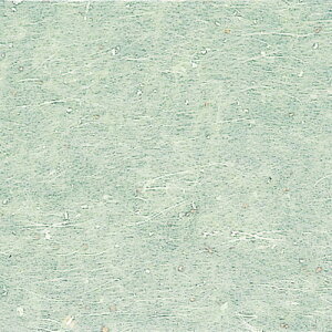  ~  ~_~ J[OP-C14 10cmp |F 100 y HX H  aH Ɩp z