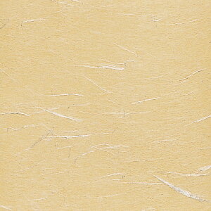  ~  OP_V[gOPU-17 10cmp JV 100 y HX H  aH Ɩp z