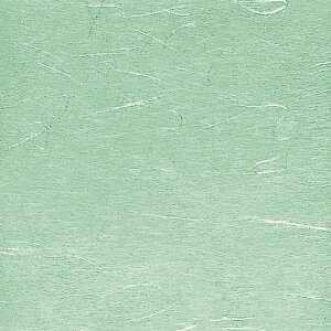  ~  OP_V[gOPU-55 15cmp ~g 100 y HX H  aH Ɩp z