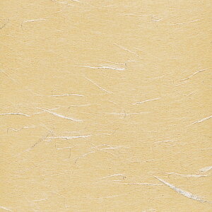  ~  OP_V[gOPU-57 15cmp JV 100 y HX H  aH Ɩp z