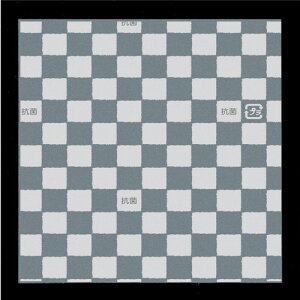  ~  ROKV[gOPK-C20 p 20cm s 200 y HX H  aH Ɩp z