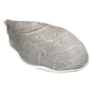 葢t^R  [ 8.5 x 5.5 x 2cm ] |  t  M Е 򖡓  lC H Ɩp HX JtF    킢   Mtg v[g 