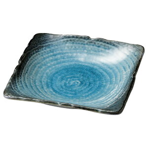 XJC ڐpM() [ 16.5 x 16.5 x 3.3cm ] | M t[cM َqM H Ɩp HX JtF    킢  Mtg v[g o j j a