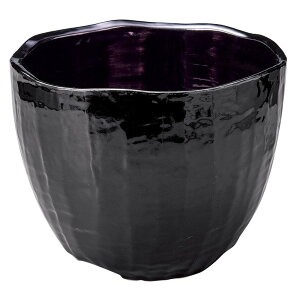 ^bNp[vCN[[ [ 22 x 17cm ] [ CN[[ ] | C \G Ci[ m  o[ bar ӎ lC  H Ɩp HX JtF    