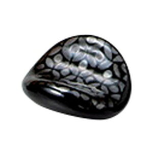 ʗ}^u [ 4.5 x 4 x 1.7cm ] [ u ] | aH {H HX  {yY | u u ͂  Jg[ H Ɩp HX JtF    킢  Mt