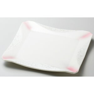  pM  X^[sNpM [ 25 x 25 x 2cm ] y   aH HX Ɩp z