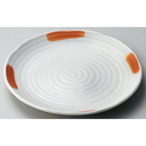  ۑM  5.0M [ 16.3 x 1.8cm ] | 傫 M M M M lC  pX^M p[eB[ H Ɩp HX JtF   Mtg v[ga 蕨 i