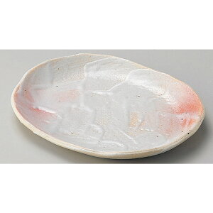  ȉ~M  u^^M [ 21.1 x 17.2 x 2.3cm ] | I[ov[g ȉ~M lC  pX^M t[cM H Ɩp HX JtF    킢 Mtg v[g a