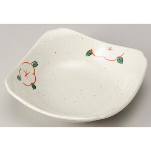  M  ᕲԊG5.0pM [ 14 x 14 x 4cm ] | M t[cM َqM H Ɩp HX JtF    킢  Mtg v[g o j j