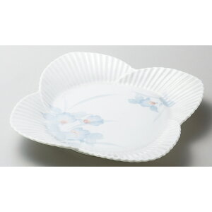  pM  ܂g`ڐ [ 24.5 x 24.5cm ] | 蔫  \ 蔫  H Ɩp HX JtF    킢    킢  