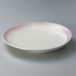  ˎMJ[M  sNg9M [ 26.5 x 25 x 4.3cm ] | pX^ pX^M J[M pX^{E H Ɩp HX JtF    킢   Mtg v[