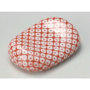  u  ̎qu(sN) [ 4.5 x 3cm ] | u u ͂  Jg[ H Ɩp HX JtF    킢  Mtg v[g o j 