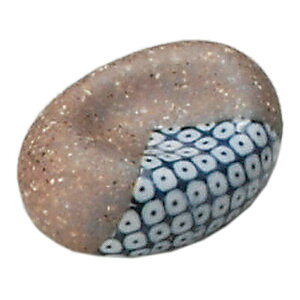  u  My̎q^u [ 4.3 x 3.5cm ] | u u ͂  Jg[ H Ɩp HX JtF    킢  Mtg v[g o j j