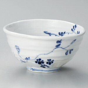  p  tԊGό`4.3 [ 13 x 12.5 x 6.8cm ] | Dݘ Ԃ JtF  [  ǂ {E H Ɩp HX JtF    킢 Mtg v[g a