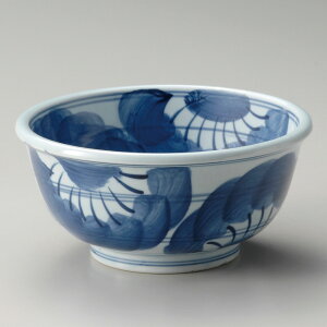  p  `Ԑ5.5ʟ [ 16.7 x 8cm ] | Dݘ Ԃ JtF  [  ǂ {E H Ɩp HX JtF    킢 Mtg v[g a