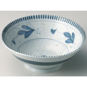  Θ  vqc^4.8⒃ [ 15.2 x 7cm ] | Ԃ JtF  [  ǂ {E H Ɩp HX JtF    킢 Mtg v[g a 蕨 