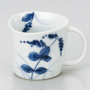  }OJbv  `}O [ 11.2 x 8.8 x 7.7cm ] | }O }OJbv R[q[ g eB[ lC  H mH Ɩp HX JtF    킢 Mtg v[g 