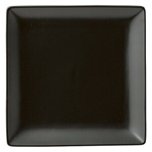  _X^C  X^C1 17cmpM [ 16.8 x 16.8 x 2cm ] | lp XNGA XNGA[ pM pX^ lC  H mH Ɩp HX JtF    킢 Mtg v