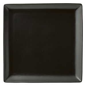  _X^C  X^C1 24cmpM [ 23.8 x 23.8 x 2.5cm ] | lp XNGA XNGA[ pM pX^ lC  H mH Ɩp HX JtF    킢 Mtg 