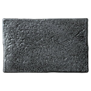  _X^C  VԂpĕM [ 22.4 x 14 x 2cm ] | lp XNGA XNGA[ pM pX^ lC  H mH Ɩp HX JtF    킢 Mtg 