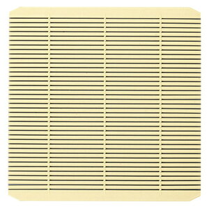  Ηpi  (PP)pPP|X [ 17.1 x 17.1cm ] |   ߂ ˂ lC H Ɩp HX JtF    킢   Mtg v[g o j 