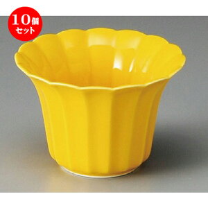 10Zbg   ֋e^ [ 107 x 73mm ] |     {E \ lC  H Ɩp HX JtF    킢 Mtg v[gj j