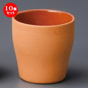 10Zbg  m  ԓyXJbv [ 60 x 65mm ] | lC  H Ɩp HX JtF    킢 Mtg v[g o a 蕨 i  Jg