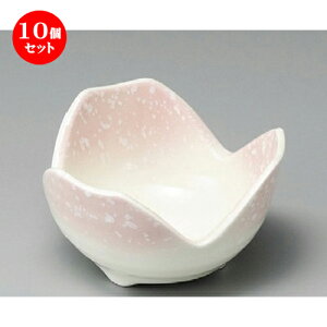 10Zbg    sNR3.3 [ 102 x 58mm ] |     {E \ lC  H Ɩp HX JtF    킢 Mtg v[gj 