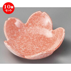 10Zbg ԓ  `֔^ [ 112 x 35mm ] | ٓ  M m lC  H Ɩp HX JtF    킢 Mtg v[g o a 