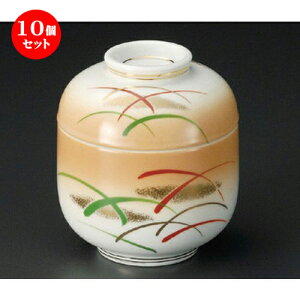 10Zbg ~jނq / ΐ~jނq [ 71 x 81mm ] | q ނ  i q ނq H Ɩp HX  킢 Mtg v[g o a 蕨 