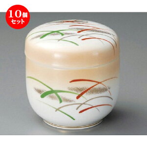 10Zbg ނq / ΐĖڂނq [ 78 x 96mm ] | q ނ  i q ނq H Ɩp HX  킢 Mtg v[g o a 蕨 i 