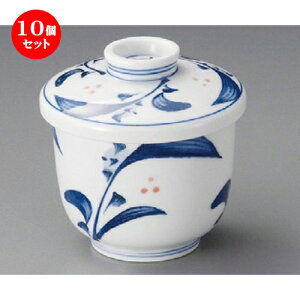 10Zbg ނq / ^ނq [ 75 x 84mm ] | q ނ  i q ނq H Ɩp HX  킢 Mtg v[g o a 蕨 i H