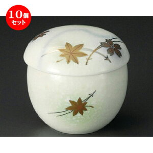10Zbg ~jނq / c~jނq [ 70 x 65mm ] | q ނ  i q ނq H Ɩp HX  킢 Mtg v[g o a 
