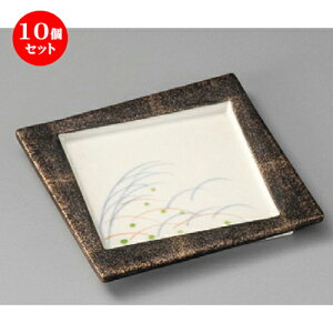 10Zbg  ԓ  H^^LpM [ 114 x 114 x 11mm ] | ٓ  M m lC  H Ɩp HX JtF    킢 Mtg v[g o a