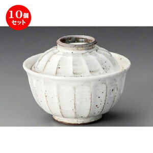 10Zbg ~َq  SʊW [ 110 x 88mm ] | ϕ   B q lC  H Ɩp HX JtF    킢 Mtg v[g o a 蕨 