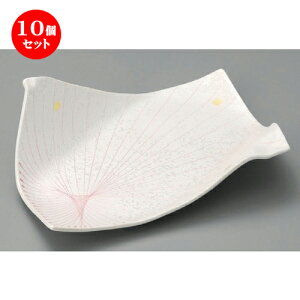 10Zbg ό`M  sN꒿X^[8.5܎M [ 265 x 193 x 85mm ] | ό`M M aM lC  H Ɩp HX JtF    Mtg v[g o j 