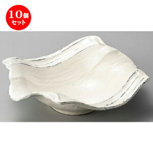 10Zbg  唫  Yy8.5 [ 295 x 145 x 85mm ] |  pX^M 蔫 {E 傫  H Ɩp HX JtF   Mtg v[g j j a 