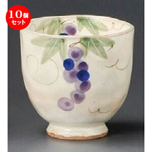 10Zbg vw  ʂԂǂ ij [ 80 x 80mmE210cc ] | lC  H mH Ɩp HX JtF    킢 Mtg v[g a i HZ