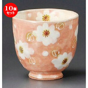 10Zbg vw  Ԑہij [ 77 x 75mmE180cc ] | lC  H mH Ɩp HX JtF    킢 Mtg v[g a i HZbg 