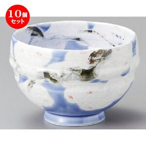 10Zbg   u[^5.0 [ 155 x 107mm ] | Ԃ JtF  [  ǂ {E H Ɩp HX JtF    킢 Mtg v[g a 