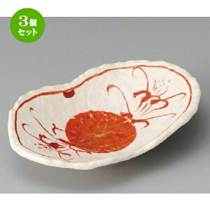 3Zbg   u֑ot [ 174 x 110 x 37mm ] |     {E \ lC  H Ɩp HX JtF    킢 Mtg v[gj j