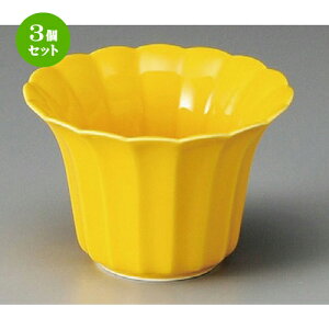 3Zbg   ֋e^ [ 107 x 73mm ] |     {E \ lC  H Ɩp HX JtF    킢 Mtg v[gj j