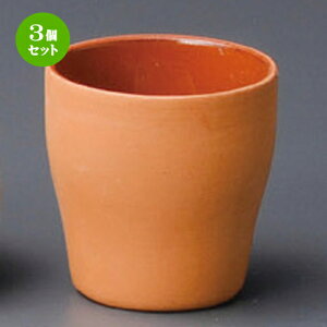 3Zbg  m  ԓyXJbv [ 60 x 65mm ] | lC  H Ɩp HX JtF    킢 Mtg v[g o a 蕨 i  Jg