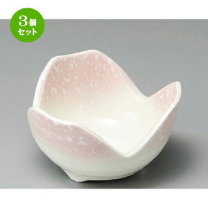 3Zbg    sNR4.0 [ 120 x 70mm ] |     {E \ lC  H Ɩp HX JtF    킢 Mtg v[gj 