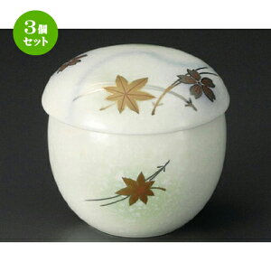 3Zbg ~jނq / c~jނq [ 70 x 65mm ] | q ނ  i q ނq H Ɩp HX  킢 Mtg v[g o a 蕨
